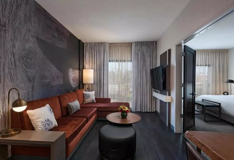 Deluxe-sviitti, Hyatt Centric The Woodlands