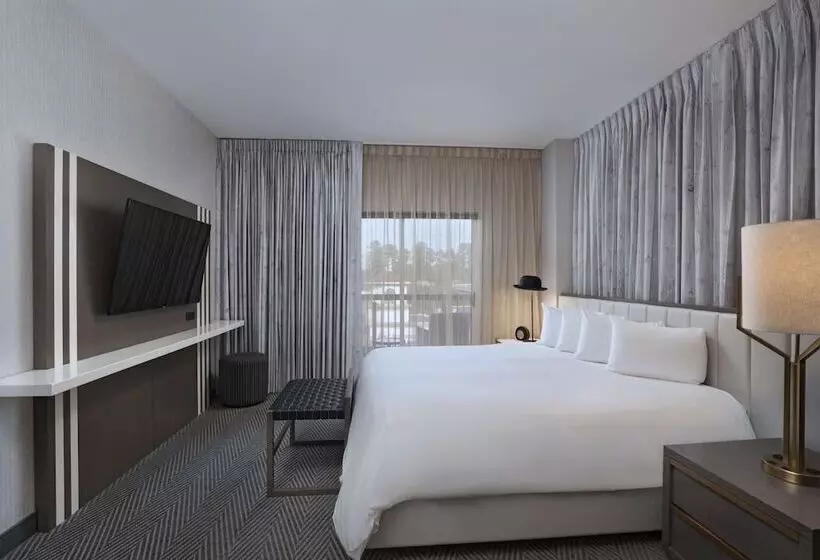 Deluxe-sviitti, Hyatt Centric The Woodlands