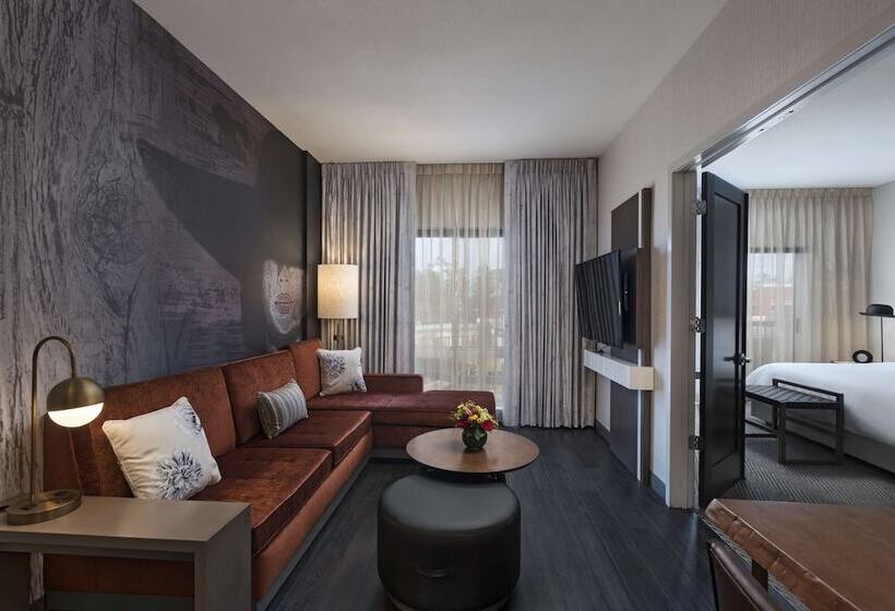 جناح ديلوكس, Hyatt Centric The Woodlands