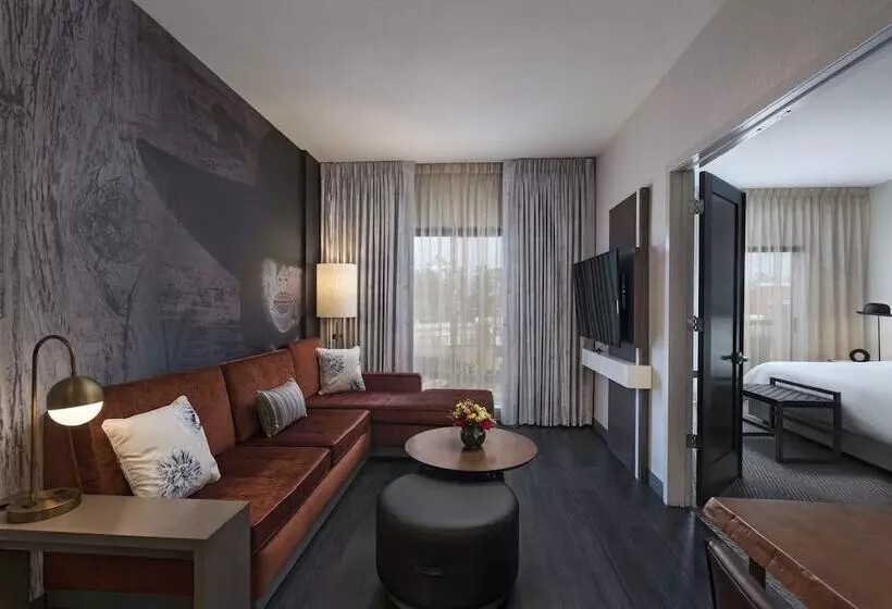 Deluxe-sviitti, Hyatt Centric The Woodlands
