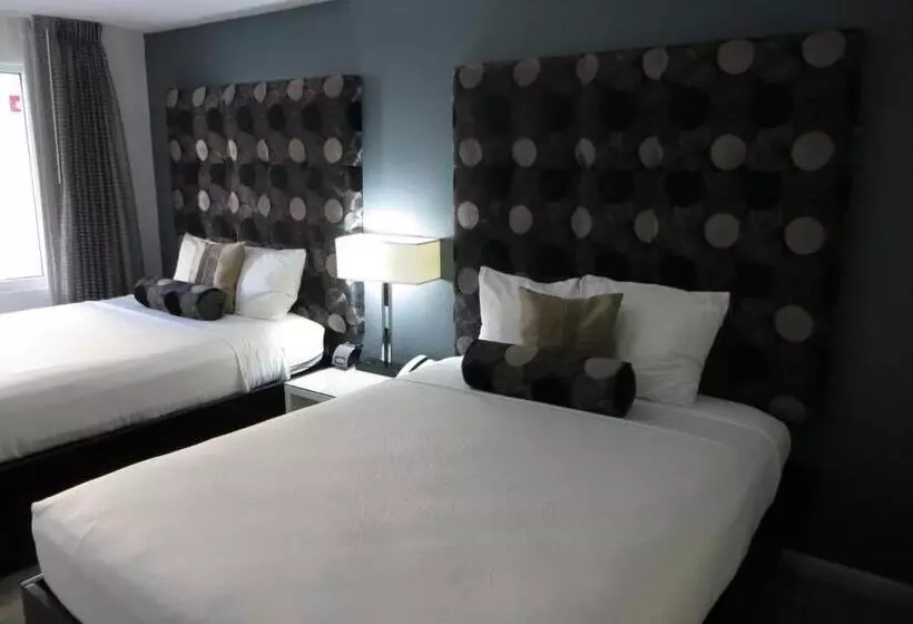 スタンダードルーム, Lotus Boutique Inn And Suites