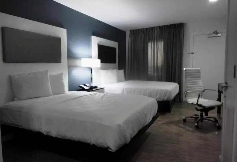 スタンダードルーム, Lotus Boutique Inn And Suites