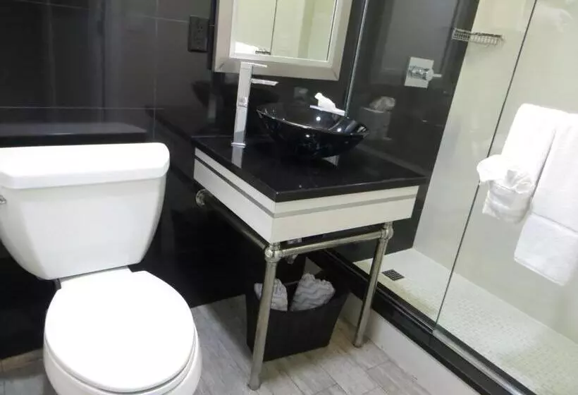 テラス付スイート, Lotus Boutique Inn And Suites