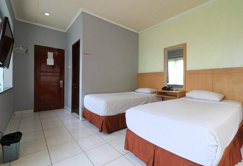 スーペリアールーム, Serena