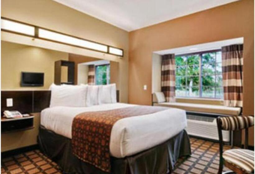 标准间, Microtel Inn & Suites By Wyndham Ozark