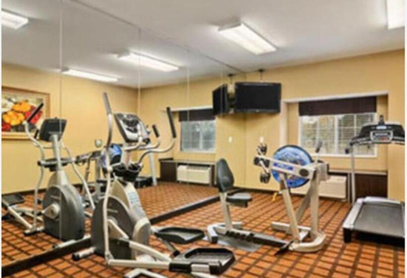 适合残疾人使用的标准间, Microtel Inn & Suites By Wyndham Ozark