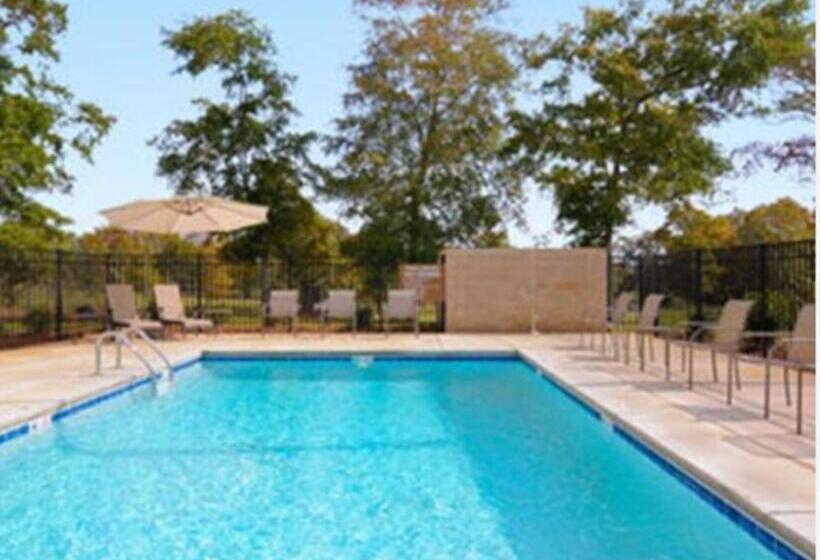 适合残疾人使用的标准间, Microtel Inn & Suites By Wyndham Ozark