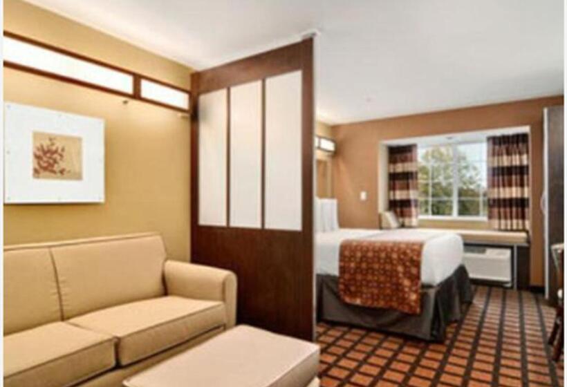 适合残疾人使用的标准间, Microtel Inn & Suites By Wyndham Ozark