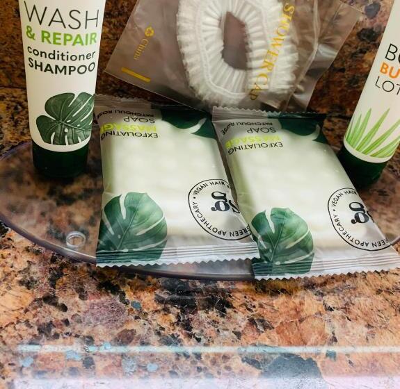 标准间, Central Coast Inn  Cayucos