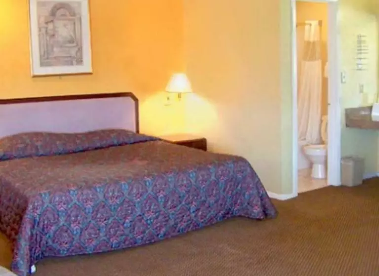 キングサイズベッドのスタンダードルーム, Seagoville Inn