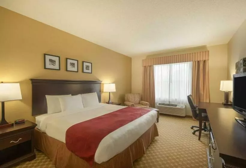 キングサイズベッドのスタンダードルーム, Country Inn & Suites By Radisson, Port Orangedaytona, Fl