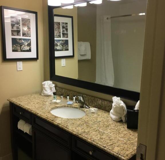 장애인을 위한 스위트, Country Inn & Suites By Radisson, Port Orangedaytona, Fl