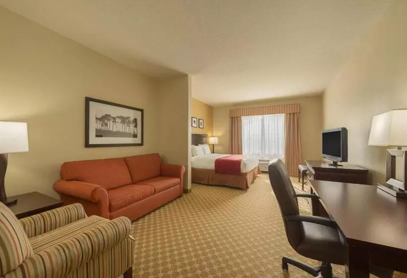 キングサイドベッドのスタンダードワンルーム, Country Inn & Suites By Radisson, Port Orangedaytona, Fl