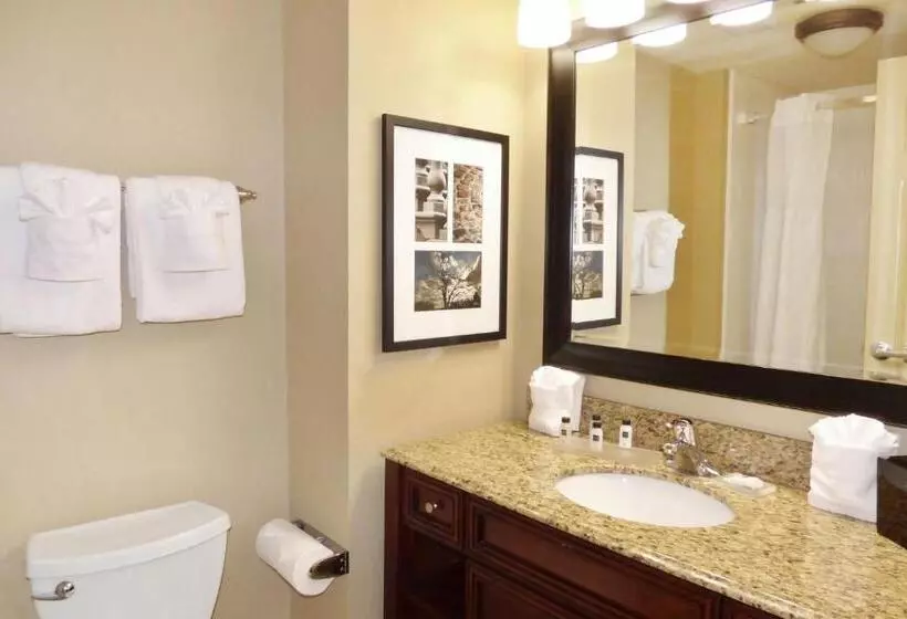 身障者適用スタンダードルーム, Country Inn & Suites By Radisson, Port Orangedaytona, Fl