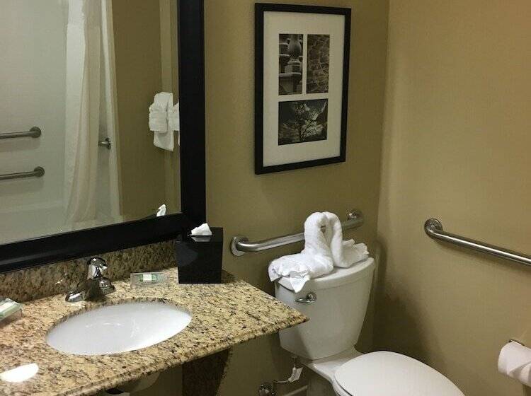 جناح لذوى الاحتياجات الخاصة, Country Inn & Suites By Radisson, Port Orangedaytona, Fl