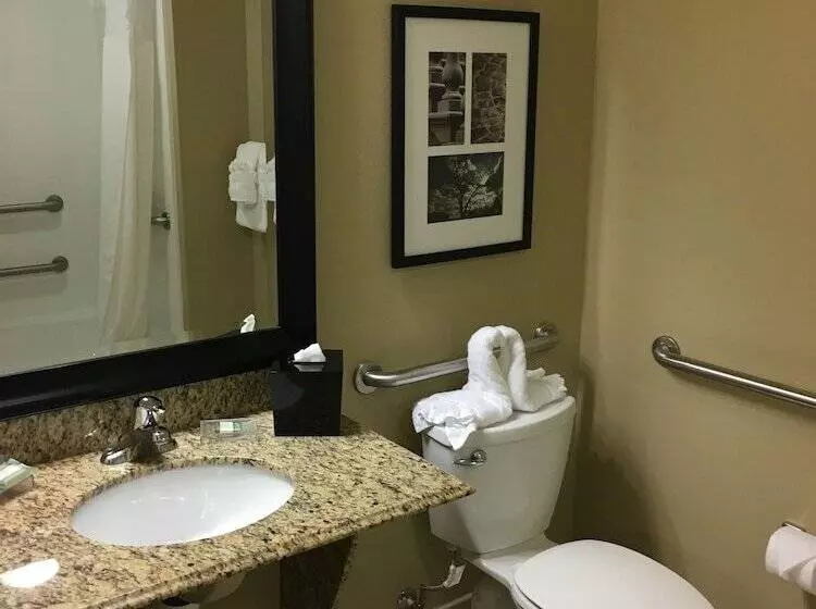 身障者適用スイートルーム, Country Inn & Suites By Radisson, Port Orangedaytona, Fl
