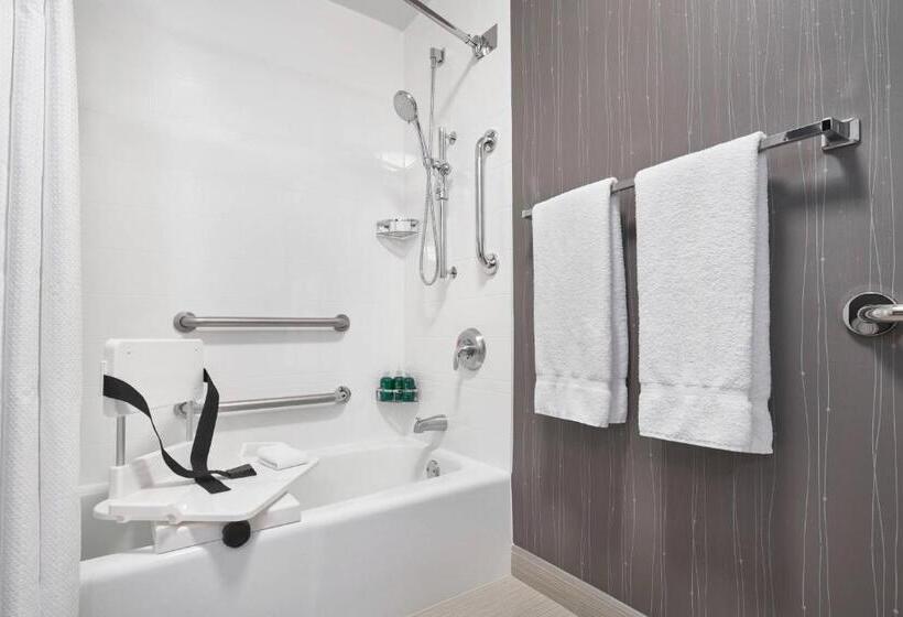 带大床的标准间, Courtyard By Marriott Baltimore Bwi Airport