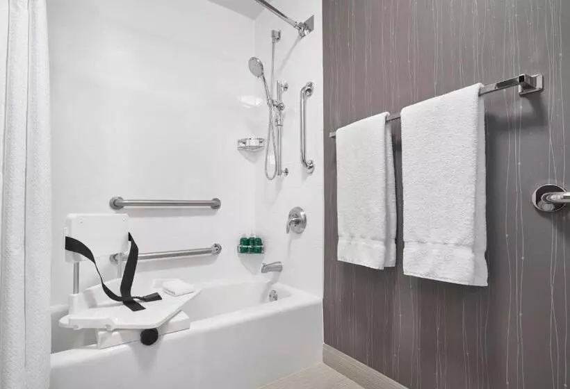 キングサイズベッドのスタンダードルーム, Courtyard By Marriott Baltimore Bwi Airport