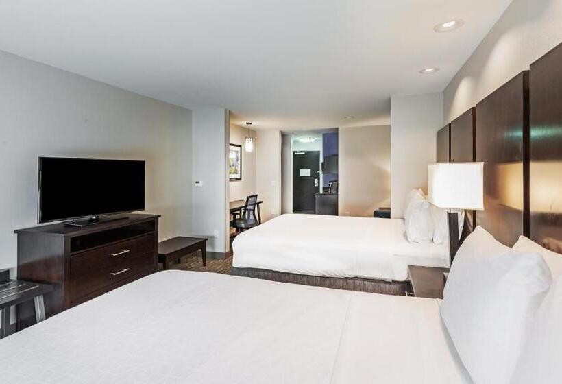 스위트, Holiday Inn Express & Suites Austin Nw   Lakeway By Ihg
