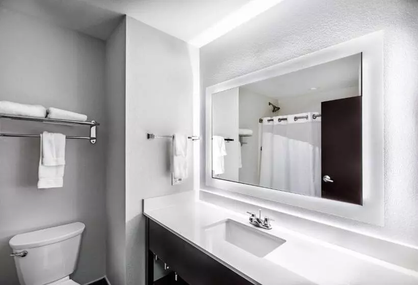 スタンダードルーム, Holiday Inn Express & Suites Austin Nw Lakeway By Ihg