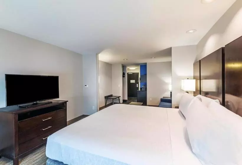 キングサイズベッドのスイートルーム, Holiday Inn Express & Suites Austin Nw Lakeway By Ihg