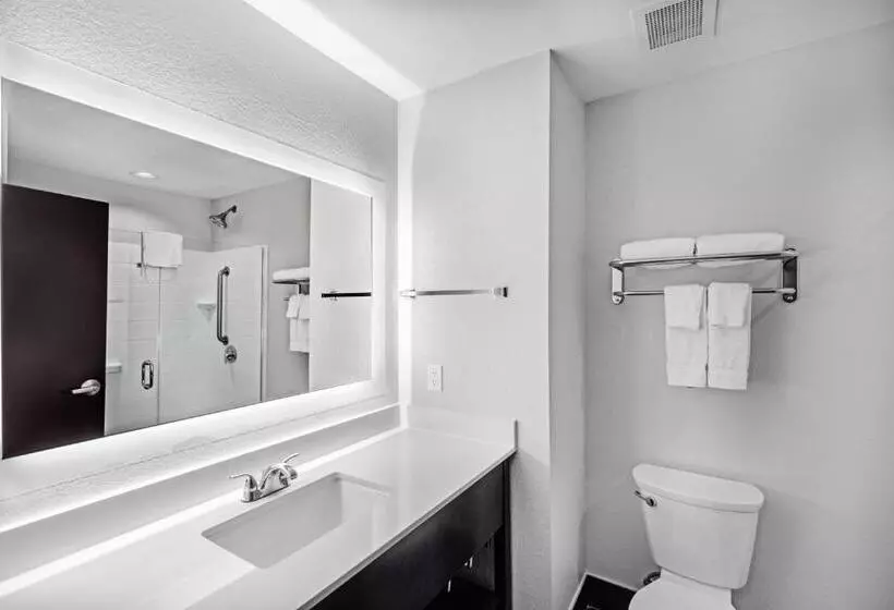 キングサイズベッドのスイートルーム, Holiday Inn Express & Suites Austin Nw Lakeway By Ihg