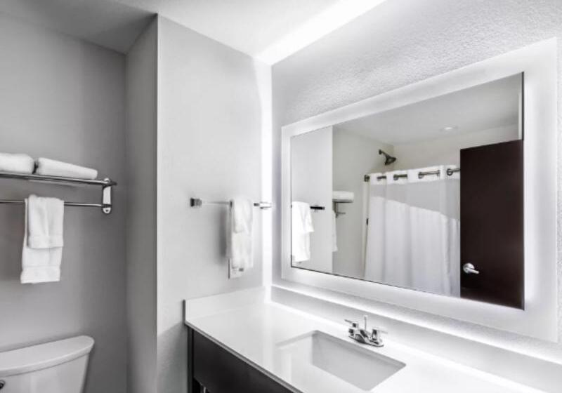 Люкс Адаптированный для Инвалидов, Holiday Inn Express & Suites Austin Nw   Lakeway By Ihg