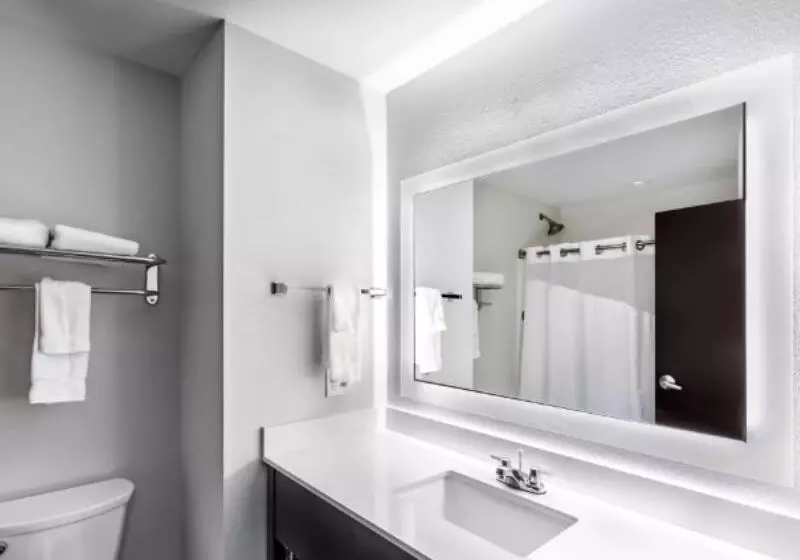 身障者適用スイートルーム, Holiday Inn Express & Suites Austin Nw Lakeway By Ihg