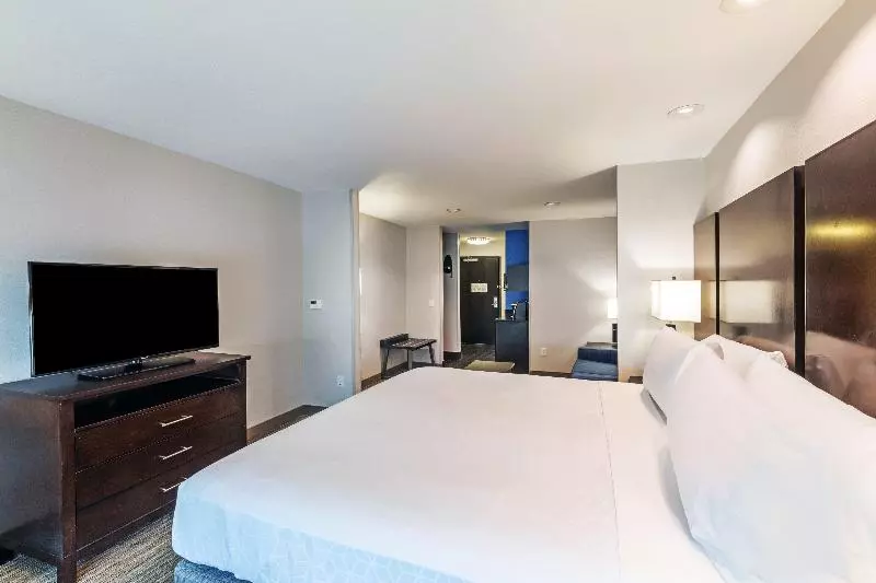 キングサイズベッドのスイートルーム, Holiday Inn Express & Suites Austin Nw Lakeway By Ihg