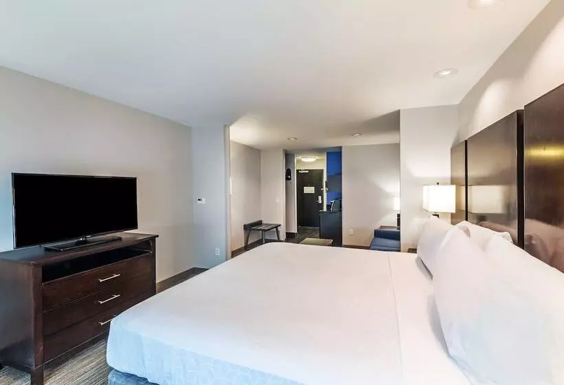 スイート, Holiday Inn Express & Suites Austin Nw Lakeway By Ihg