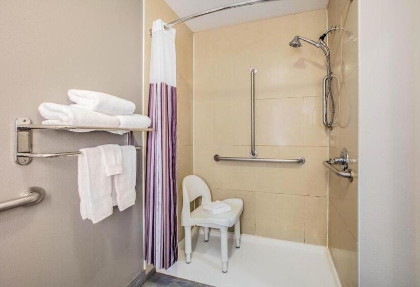 חדר סטנדרט, מיטת קינג, מותאם לאדם עם מוגבלויות, La Quinta By Wyndham Mckinney