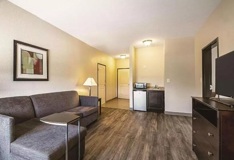 デラックススイート, La Quinta By Wyndham Mckinney