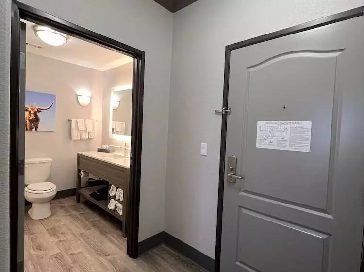 デラックスルーム, La Quinta By Wyndham Big Spring