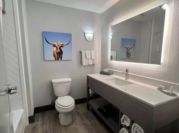 デラックスルーム, La Quinta By Wyndham Big Spring