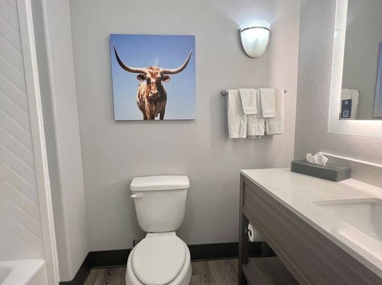 غرفة ديلوكس, La Quinta By Wyndham Big Spring