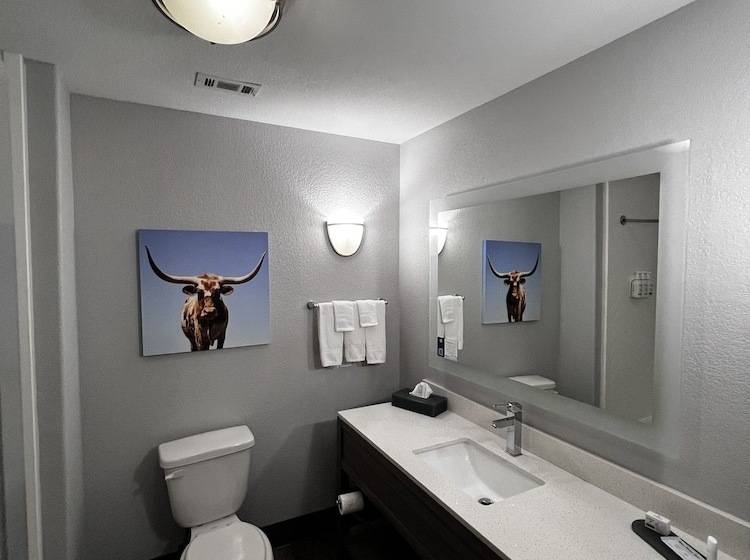 غرفة ديلوكس, La Quinta By Wyndham Big Spring