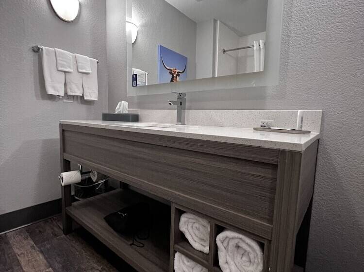 غرفة ديلوكس, La Quinta By Wyndham Big Spring