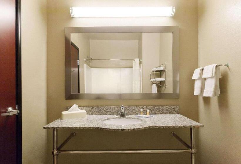 带大床的标准间, Lone Star Inn & Suites