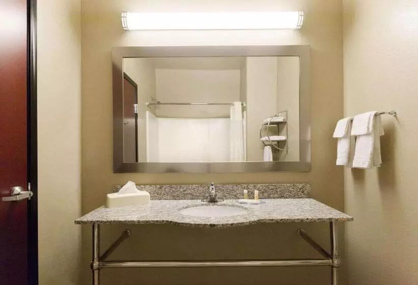 キングサイズベッドのスイートルーム, Lone Star Inn & Suites
