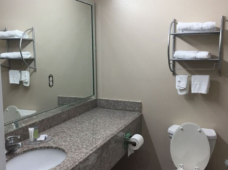 豪华单人间, Scottish Inns & Suites Timber Creek, Houston, Tx