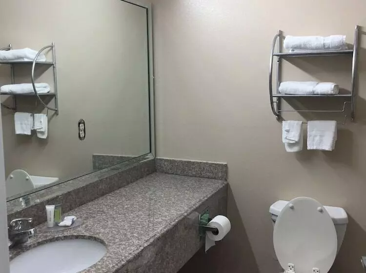 シングルデラックスルーム, Scottish Inns & Suites Timber Creek, Houston, Tx