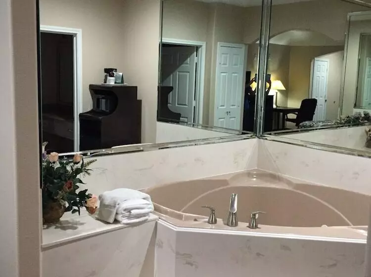 シングルデラックスルーム, Scottish Inns & Suites Timber Creek, Houston, Tx