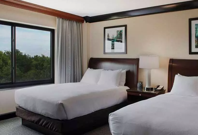 スタンダードスタジオ, Home2 Suites By Hilton Charleston Airport/convention Center, Sc