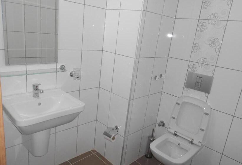 Camera Standard, Afsin