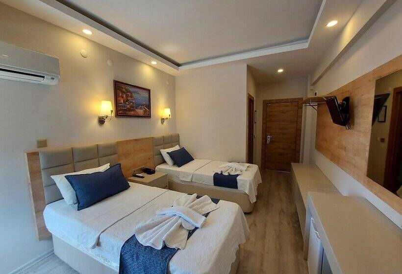 Camera Standard, Afsin