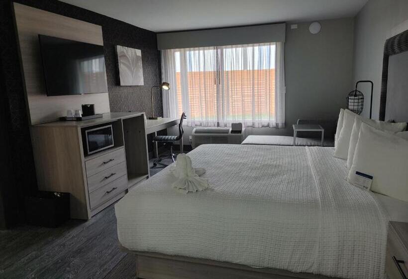 Büyük Çift Kişilik Yataklı Süit, Aiden By Best Western South Reno