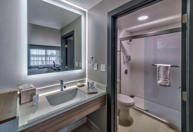 Suite King Bed, Aiden By Best Western South Reno