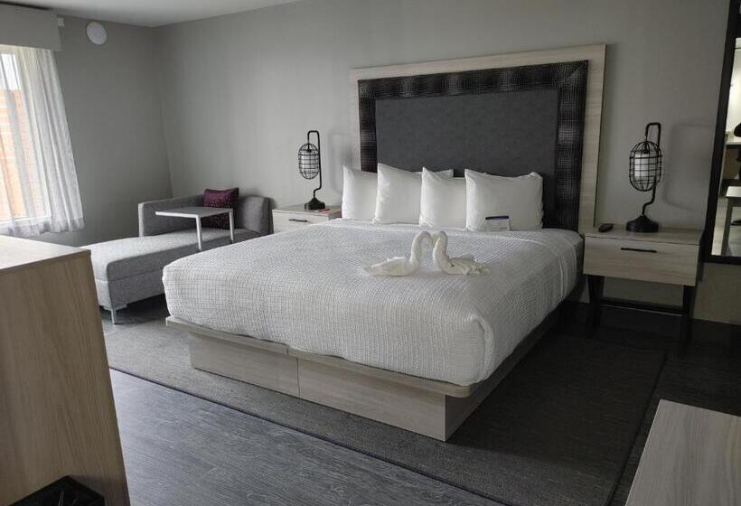 Büyük Çift Kişilik Yataklı Standart Oda, Aiden By Best Western South Reno