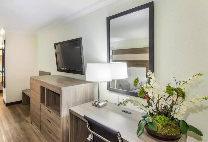 キングサイズベッドのスタンダードルーム, Americas Best Value Inn Columbus