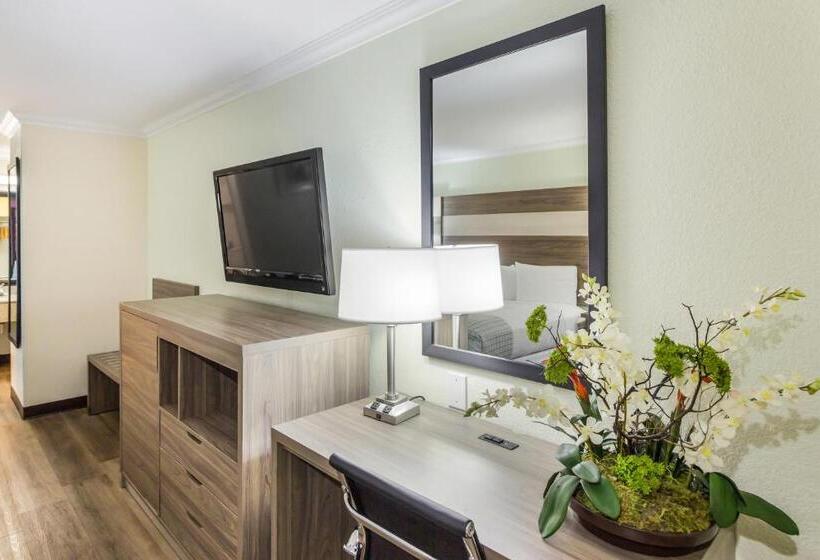 장애인을 위한 킹사이즈 침대 스탠다드 룸, Americas Best Value Inn Columbus